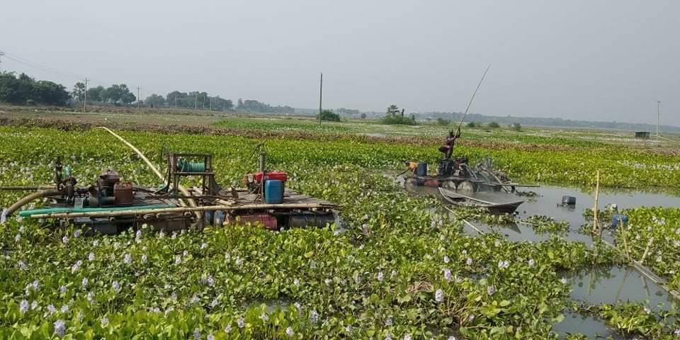 সালথায় ড্রেজার দিয়ে বালু উত্তোলন হুমকিতে ফসলি জমি