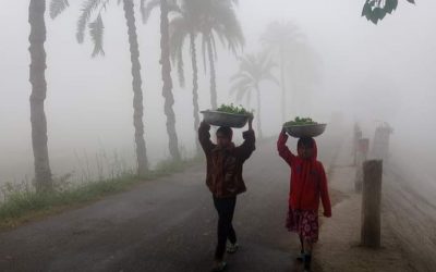 আগামী পাঁচ দিন আবহাওয়া পরিবর্তনের সম্ভাবনা নেই