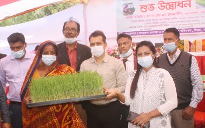 ঘিওরে রাইস ট্রান্সপ্লান্টার যন্ত্রে উৎসাহ বাড়াতে বিনামূল্যে ধানের চারা রোপন