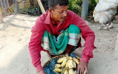 পাটুরিয়া ফেরি ঘাটে ভিক্ষা না করে ফেরি করেন দৃষ্টি প্রতিবন্ধী আব্দুল হালিম