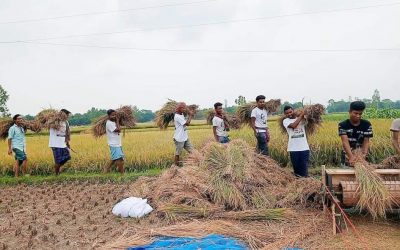 দৌলতপুরে বাক প্রতিবন্দী কৃষকের ধান কেটে মাড়াই করে দিল জিয়নপুর ইউনিয়ন ছাত্রলীগ