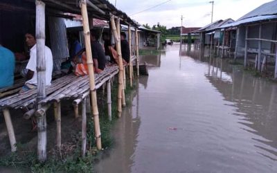 বাঘায় চরাঞ্চলে সহস্রাধিক পরিবার পানিবন্দি অবস্থায় জীবনযাপন