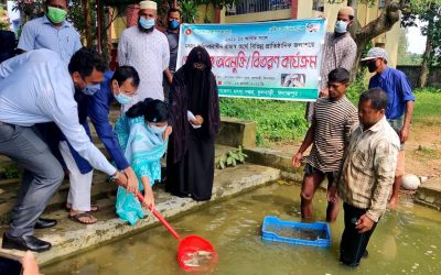 ফুলবাড়ীতে উপজেলা মৎস্য দপ্তরের উদ্যোগে মাছের পোনা অবমুক্ত