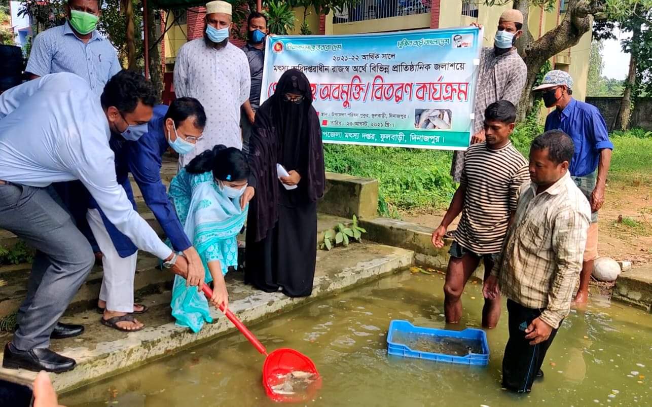 ফুলবাড়ীতে উপজেলা মৎস্য দপ্তরের উদ্যোগে মাছের পোনা অবমুক্ত