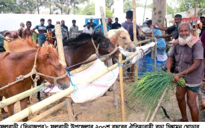 ফুলবাড়ীতে ২০০শ বছরের ঐতিহ্যবাহী বুড়া চিন্তামন ঘোড়ার মেলা অনুষ্ঠিত