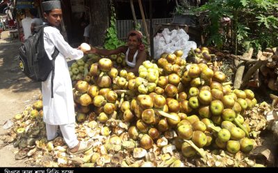 ঘিওরে তীব্র তাপ দাহে তাল শাসের কদর বেড়েছে