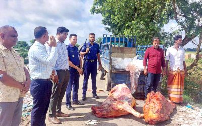 কুকুরে কামড়ানো গর্ভবতী গাভী জবাই করে বিক্রির চেষ্টা, ৪ জনকে জরিমানা