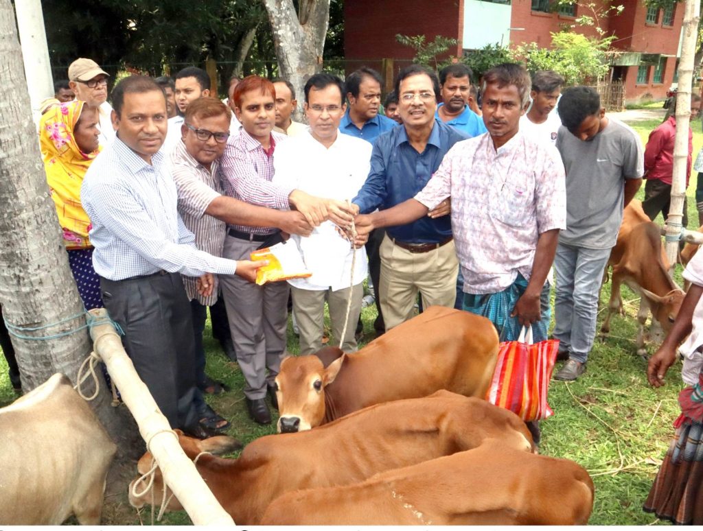 ফুলবাড়ীতে ক্ষুদ্র নৃ-গোষ্ঠিদের মাঝে ষাঁড়  বাছুর বিতরণ