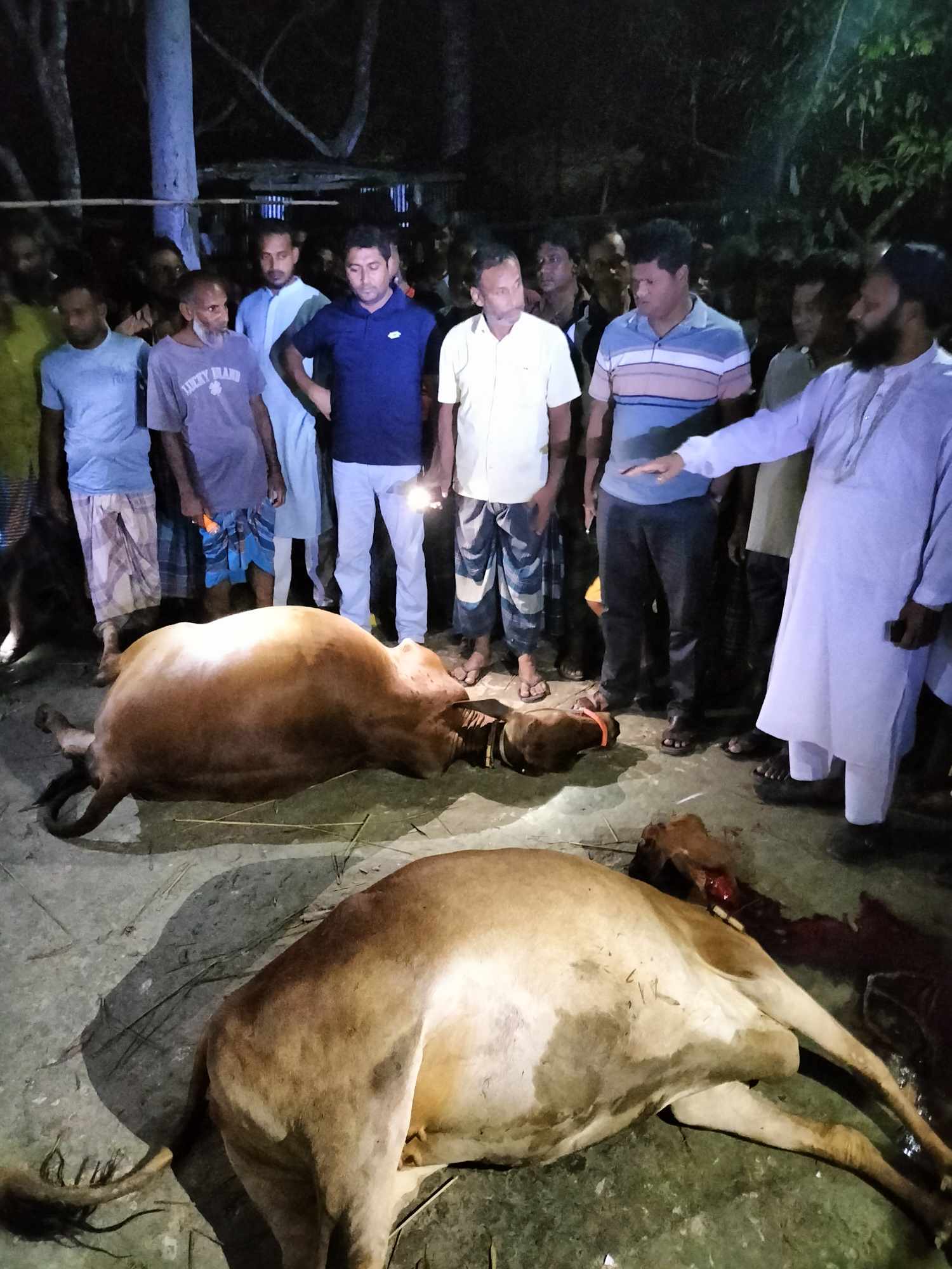 ফুলবাড়ীতে আজ্ঞাত কারনে চার গরু ও  ছাগলের মৃত্যু।