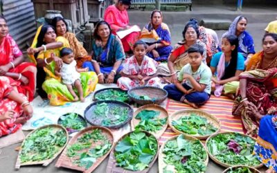 অচাষকৃত উদ্ভিদ মেলা