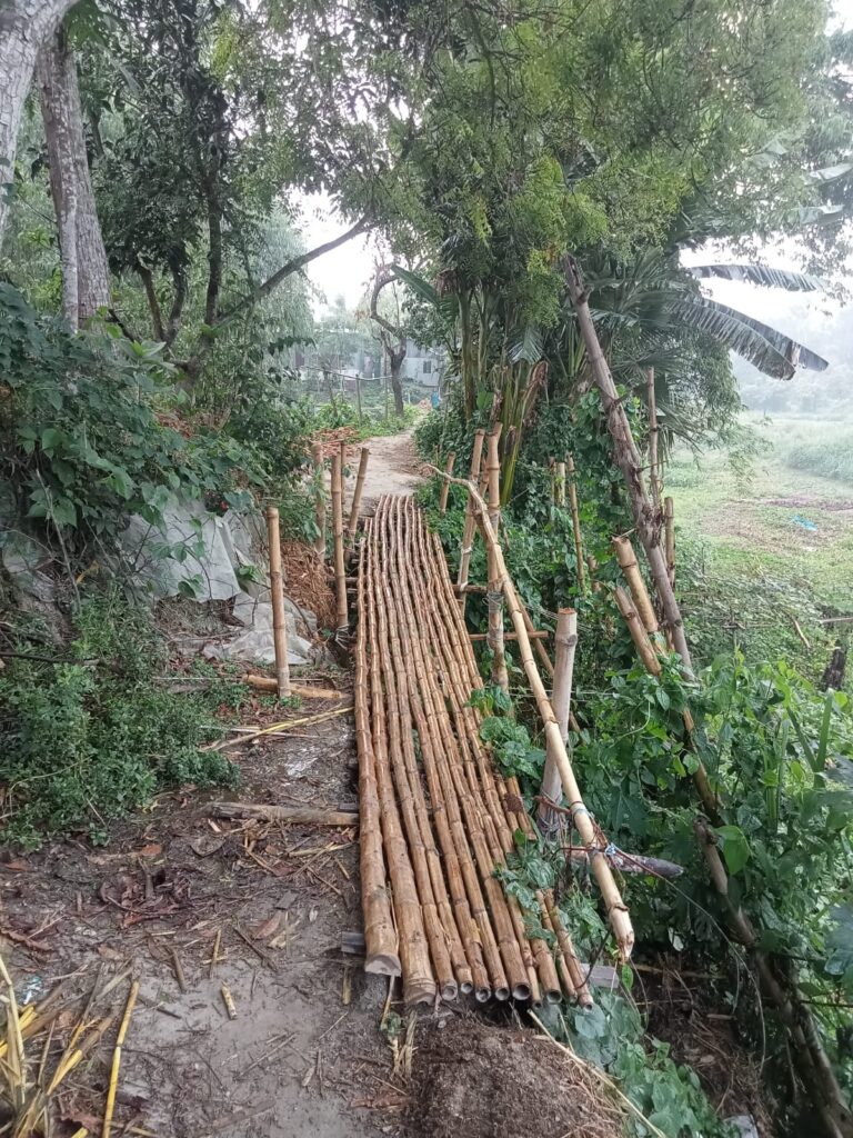 ২ গ্রামের প্রায় ৫০০ জন মানুষের চলাচলের জন্য বাঁশের সেতুই এক মাত্র ভরসা।