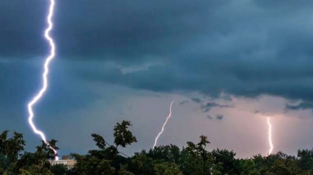 ঘিওরে ঘাস কাটতে গিয়ে বজ্রপাতে মায়ের মৃত্যু-ছেলেসহ আহত ২